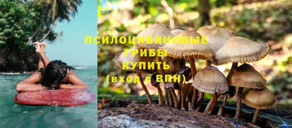 ALPHA PVP Пролетарск